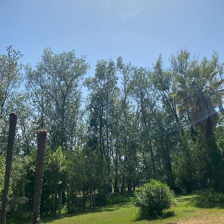 Chalet En Pleine Nature La Roquette-sur-Siagne Exteriör bild