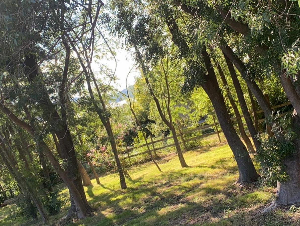 Chalet En Pleine Nature La Roquette-sur-Siagne Exteriör bild